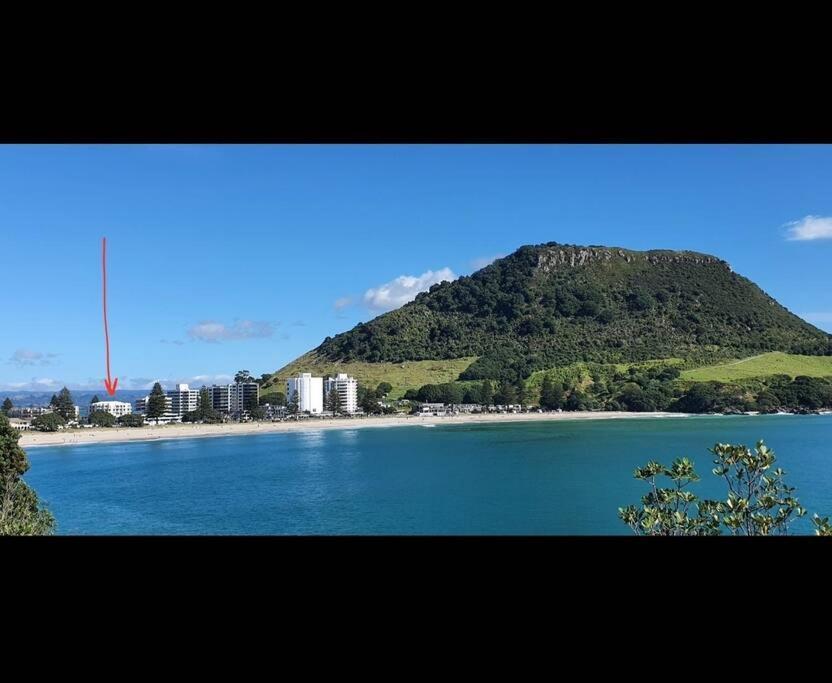 Fabulous Apartment In The Atrium, Mt Maunganui Маунт Маунгануи Екстериор снимка